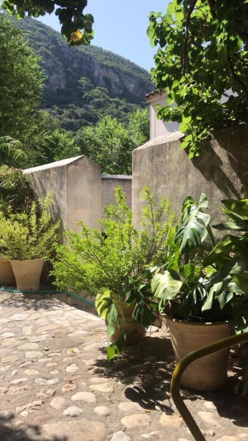 Casa Rural El Vihuelo El Bosque Extérieur photo