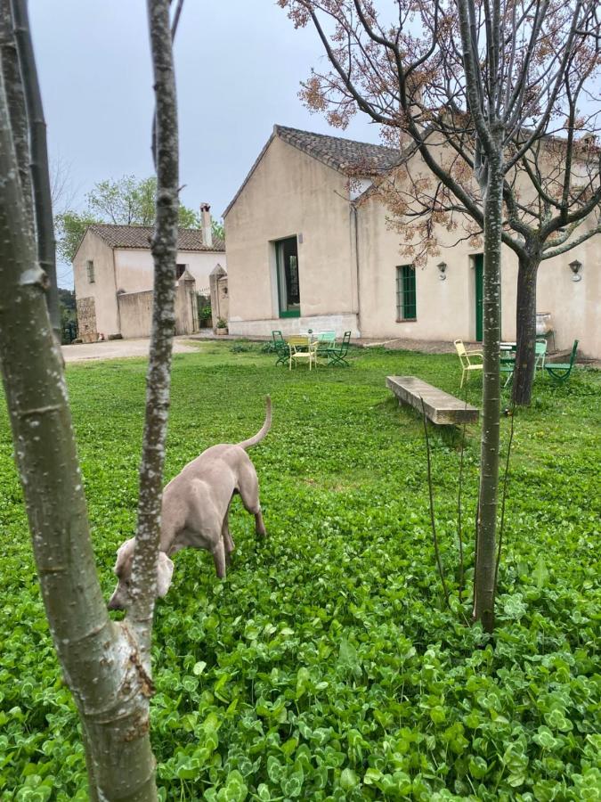 Casa Rural El Vihuelo El Bosque Extérieur photo