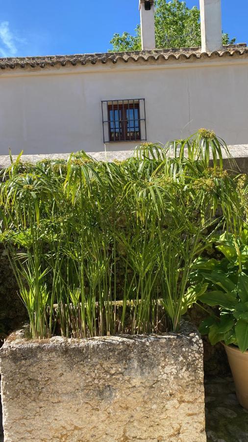 Casa Rural El Vihuelo El Bosque Extérieur photo