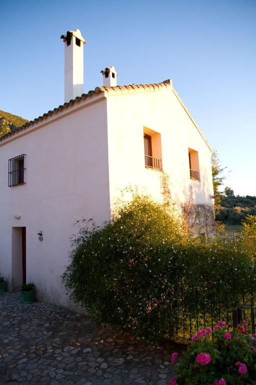 Casa Rural El Vihuelo El Bosque Extérieur photo