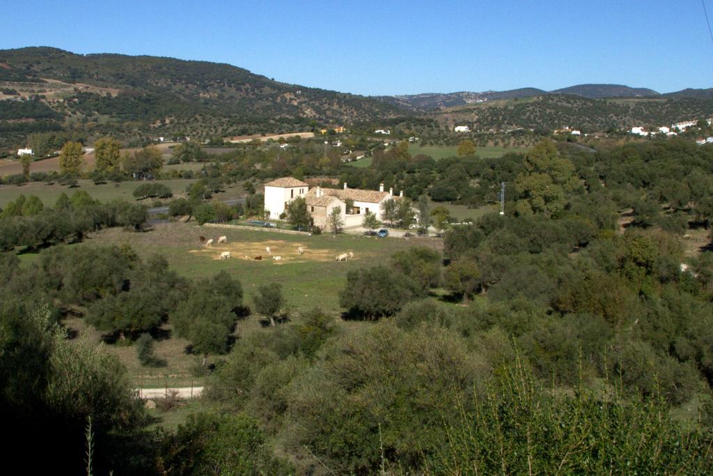 Casa Rural El Vihuelo El Bosque Extérieur photo